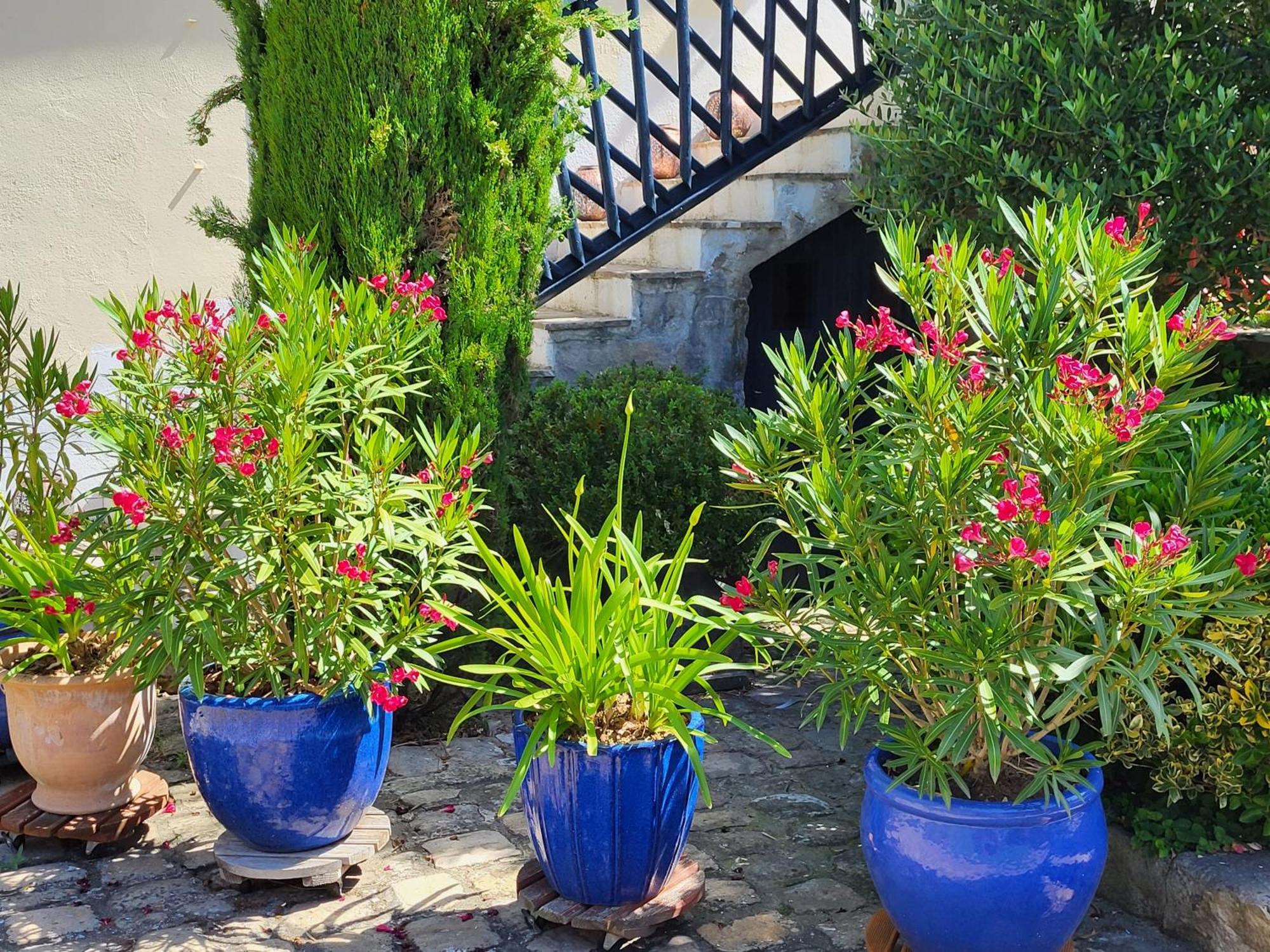 Bed and Breakfast Les Glycines Ури Экстерьер фото