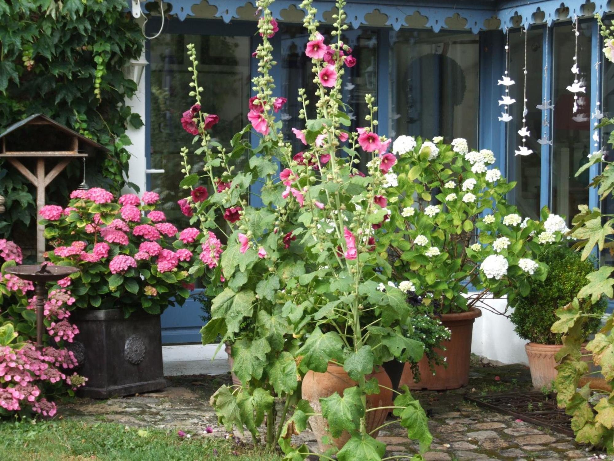 Bed and Breakfast Les Glycines Ури Экстерьер фото